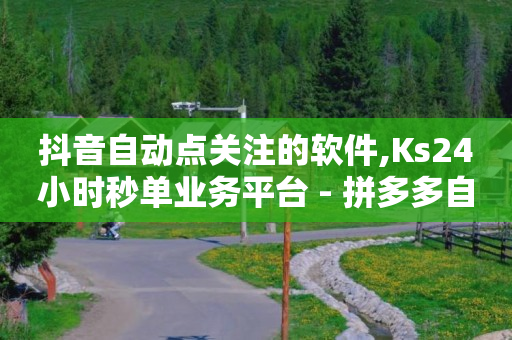 qq辅助注册接单平台,中国粉丝排行榜2021,快手24小时购买平台是真的吗 -浏览量有什么用