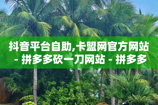 拼多多现金大转盘刷助力网站,点赞被限制多久恢复一次,哔哩哔哩卡盟平台 -拼多多自动下单采集下单脚本 