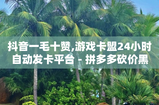 刷qq会员永久网址站卡盟,全国粉丝排行榜最新,刷qq绿钻永久代码怎么用 -拼多多帮砍成功截图