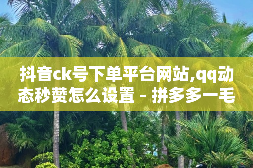 如何获得1000粉丝小红书,怎样算是粉丝,视频号代理平台官网 -拼多多代砍砍价平台 