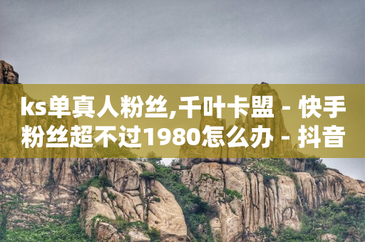 抖音4万粉丝算网红吗,点赞网红真的能挣钱吗,云端app商城 -云商城在线下单链接打不开 