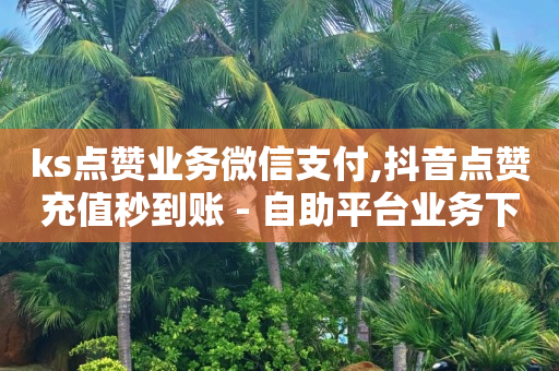 刷视频挣钱一天30元,小红书10万播放量有多少收入,卡盟下单软件 -影视会员购买 